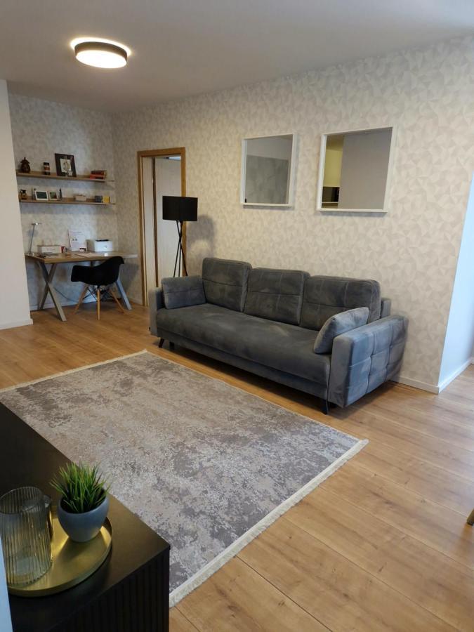 City Apartment Dorobantilor 克卢日-纳波卡 外观 照片